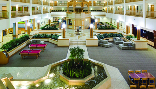 contact us to learn more about cetis today