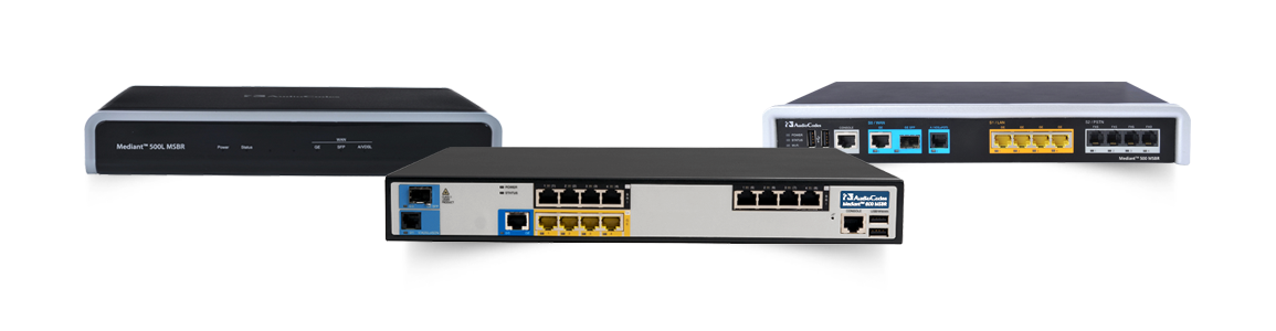 Multi-Service Business Routers