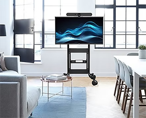 AV Carts & Stands